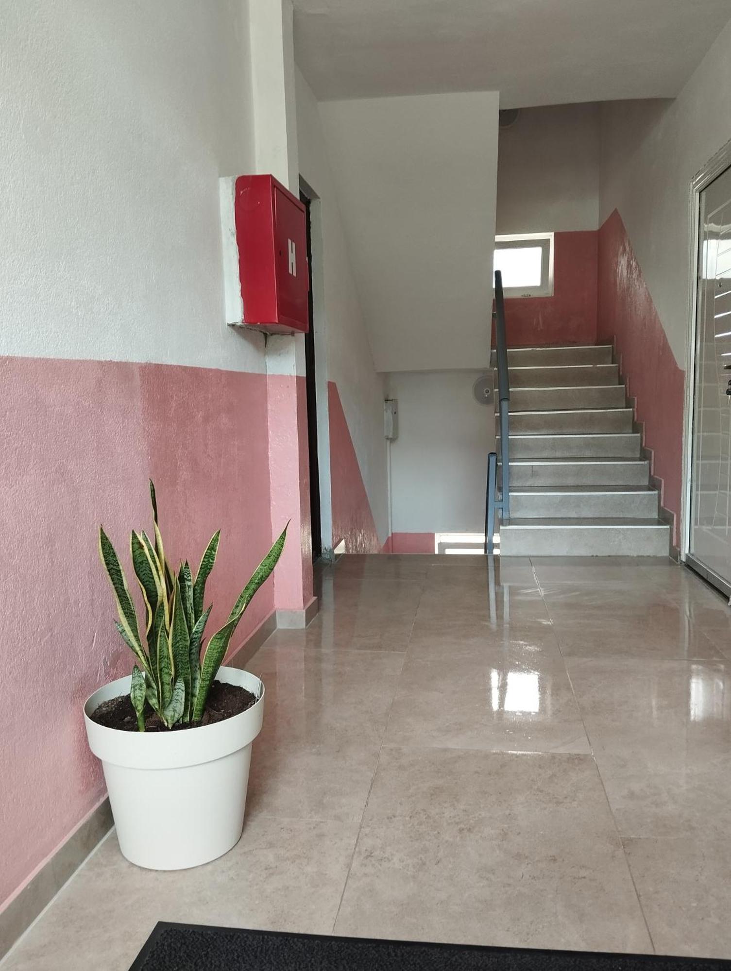 Apartment La Casa Pluzine Ruang foto